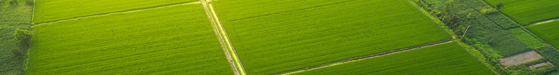 page_banner