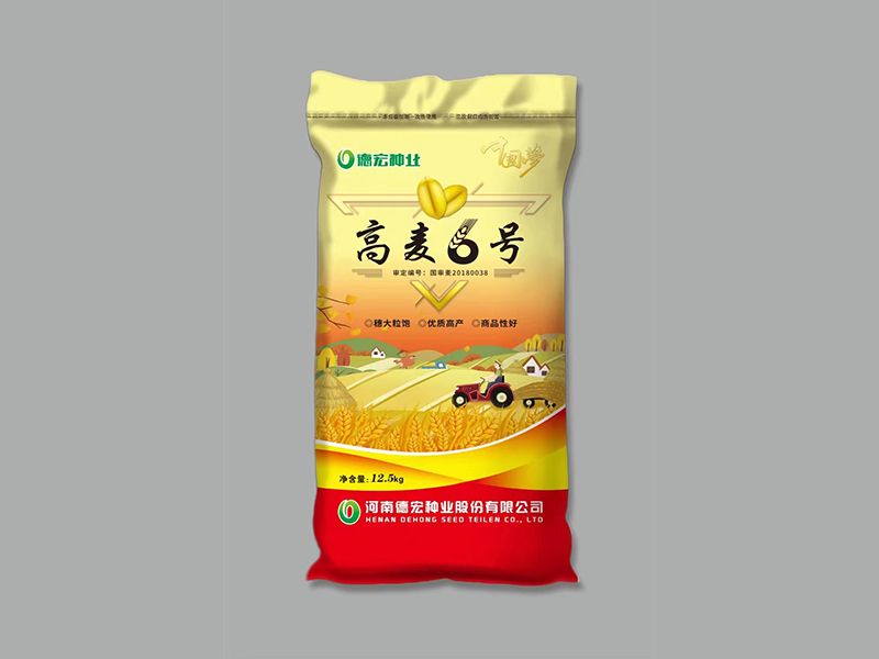 高麦6号