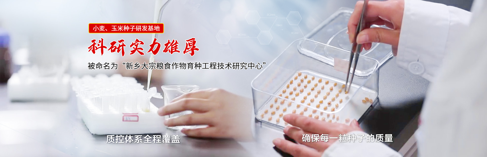 OG东方馆种业