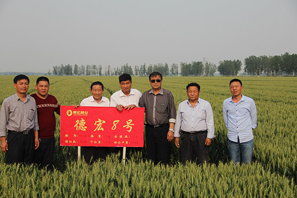 1440148971843546 1440148971843546