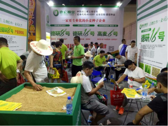 OG东方馆网页批改983